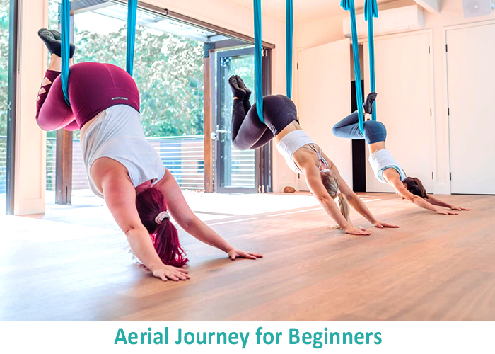 Aerial Journey For Beginners
