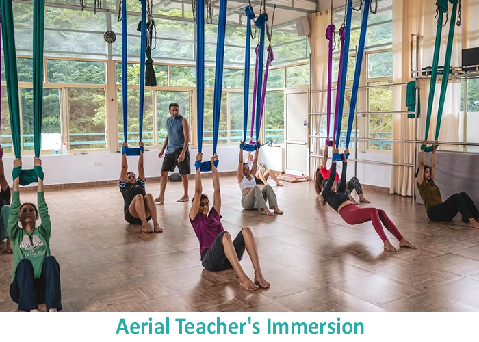 Aerial Teacher's Immersion